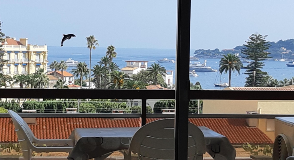 20190831_155915.jpg